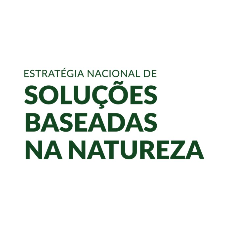 Estratégia Nacional de Soluções Baseadas na Natureza | ENSBN