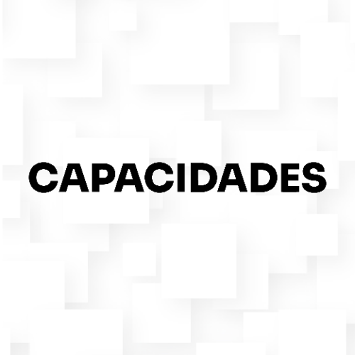 Programa Capacidades